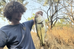 6F08B3D9-BB4D-4430-93EA-745886C43316_1_201_a